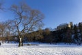 The largest Park in Prague Ã¢â¬â Stromovka - the Royal Tree-tree in the snowy Winter